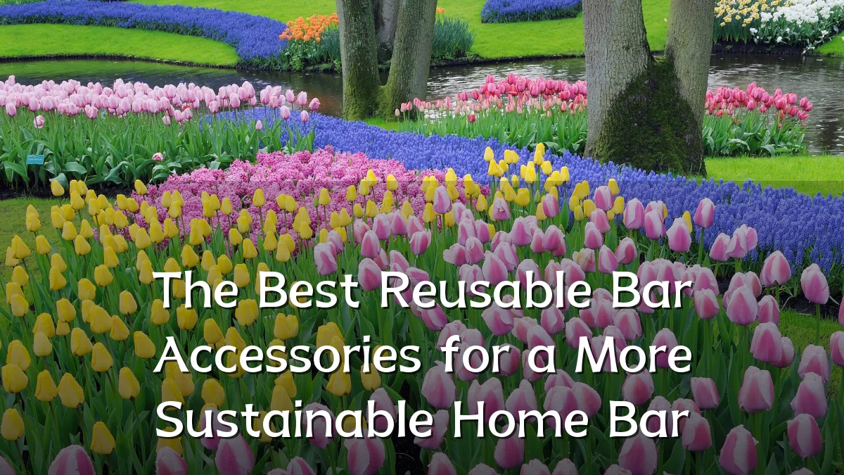 The Best Reusable Bar Accessories for a More Sustainable Home Bar