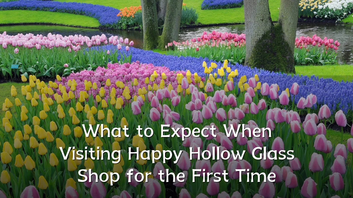 What to Expect When Visiting Happy Hollow Glass Shop for the First Time